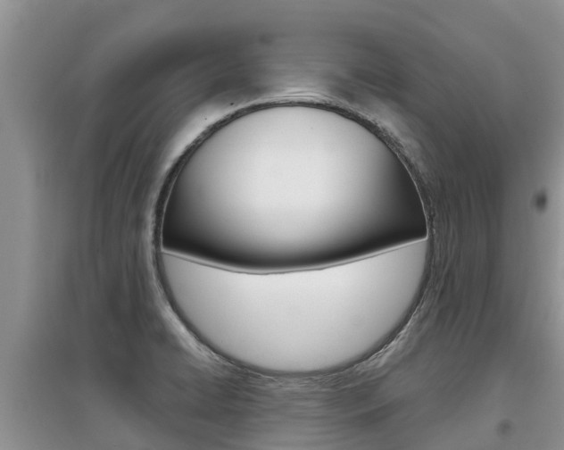 X0000097911422200803141019