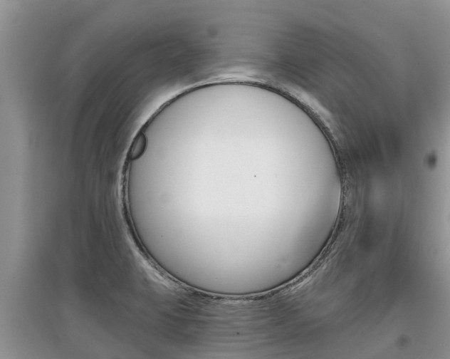 X0000097911423200803141019