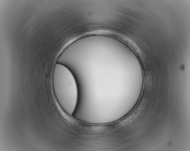 X0000097911425200803141019