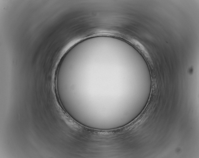 X0000097911427200803141019