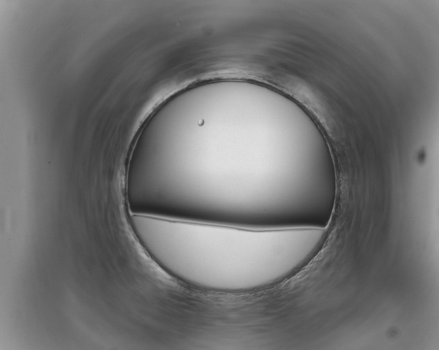 X0000097911428200803141019