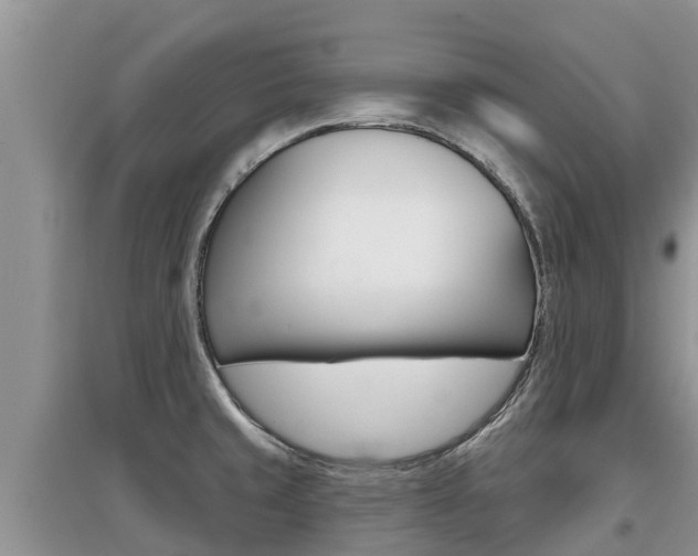 X0000097911429200803141019