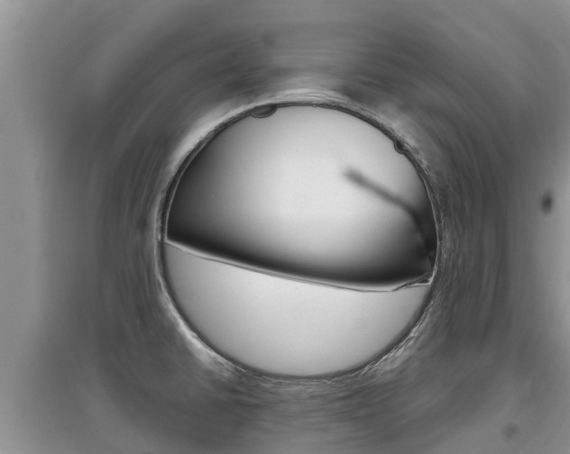 X0000097911430200803141019