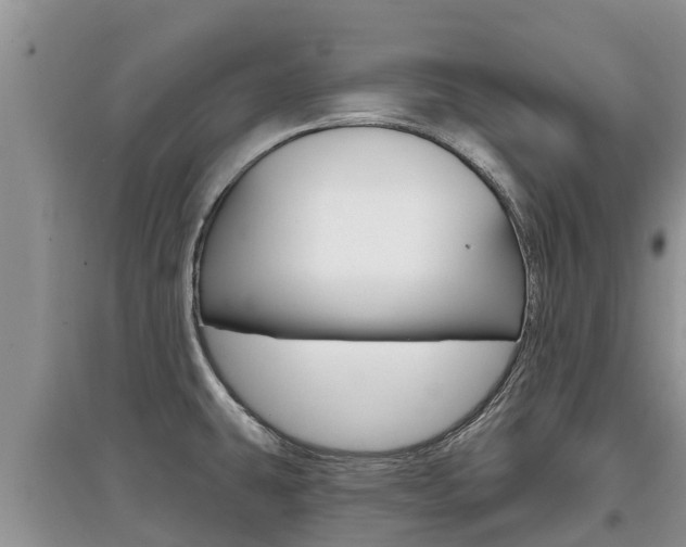 X0000097911431200803141019
