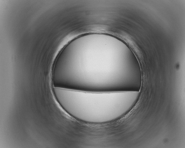 X0000097911432200803141019