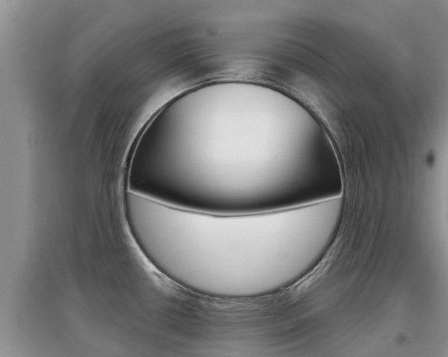 X0000097911434200803141019