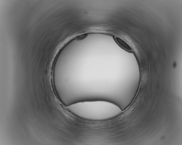 X0000097911435200803141019