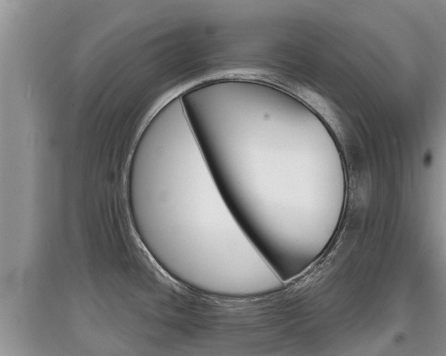 X0000097911436200803141019