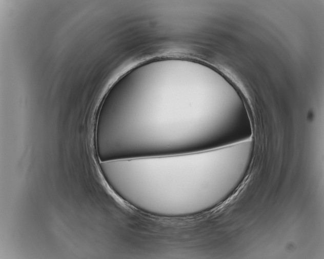 X0000097911437200803141019