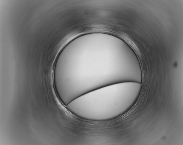 X0000097911439200803141019