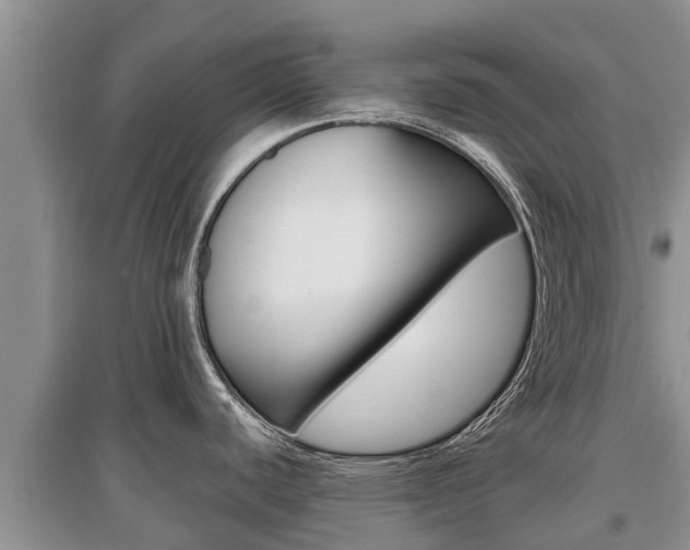 X0000097911440200803141019