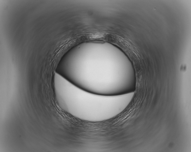 X0000097911441200803141019