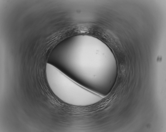 X0000097911442200803141019