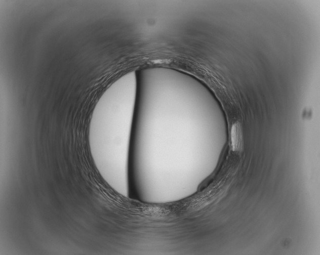 X0000097911443200803141019