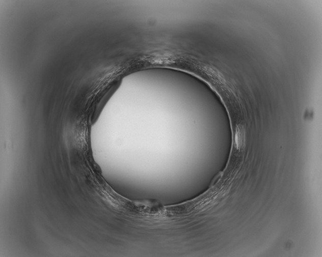 X0000097911444200803141019