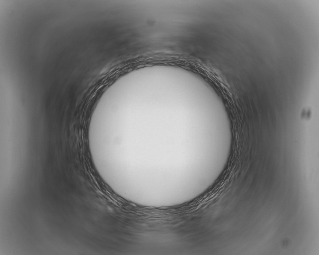X0000097911445200803141019