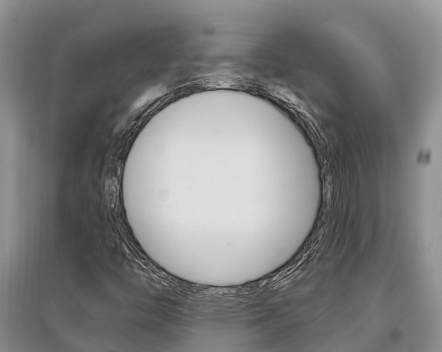 X0000097911446200803141019