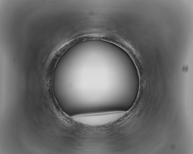 X0000097911448200803141019