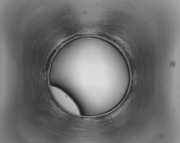 X0000097911449200803141019
