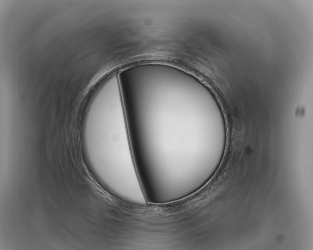 X0000097911450200803141019