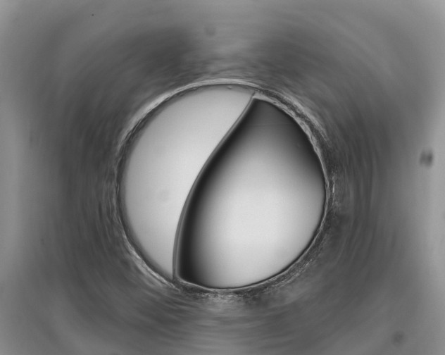 X0000097911452200803141019