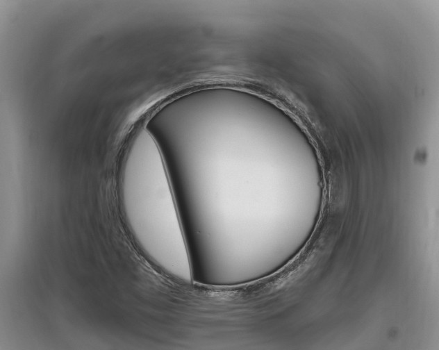 X0000097911453200803141019