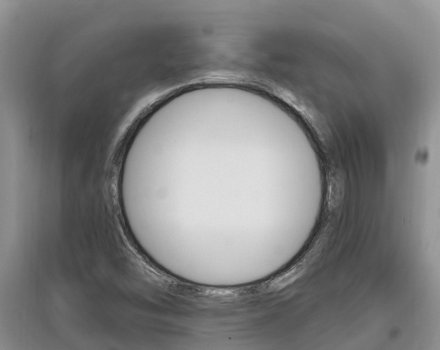 X0000097911454200803141019