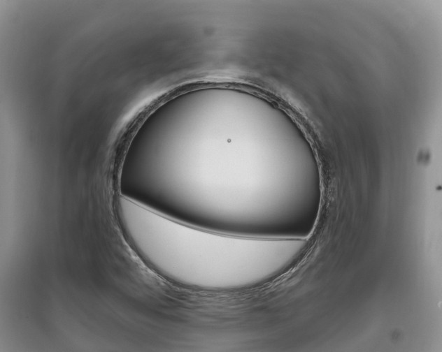 X0000097911456200803141019