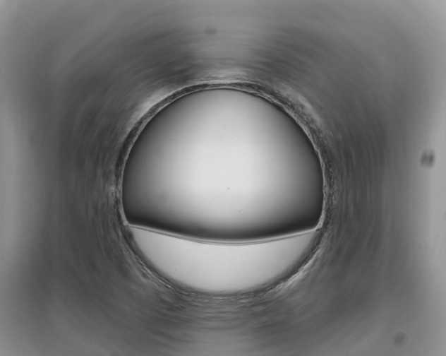 X0000097911457200803141019