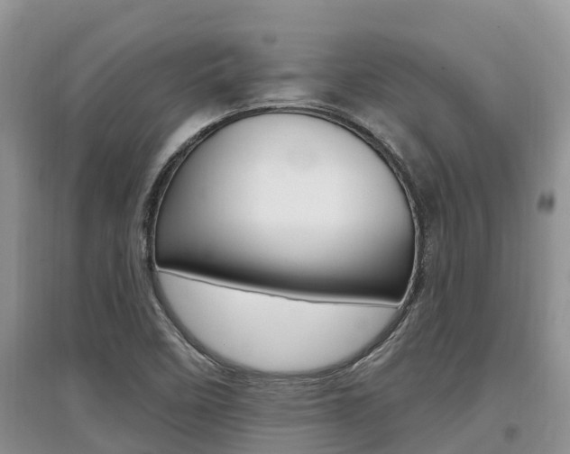 X0000097911458200803141019