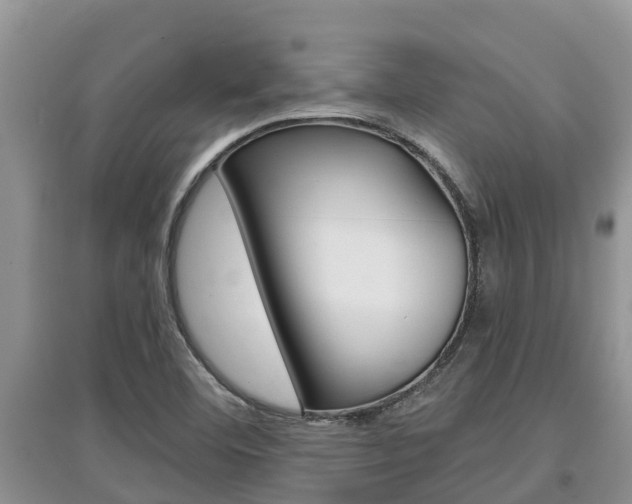 X0000097911460200803141019