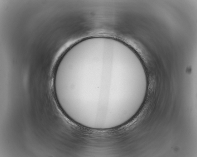 X0000097911462200803141019
