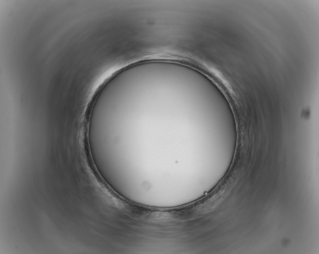 X0000097911463200803141018