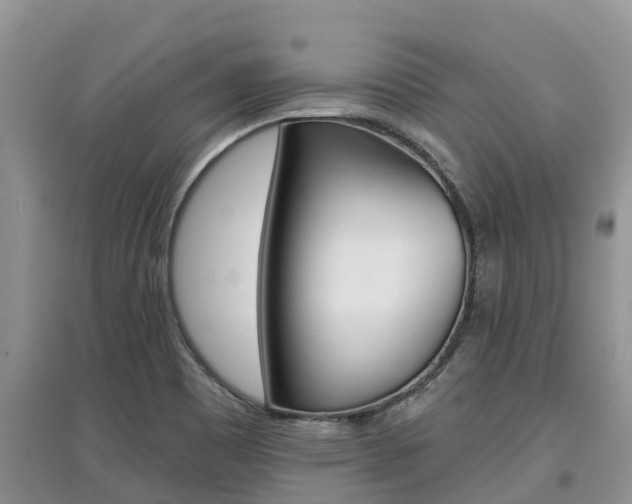 X0000097911465200803141018