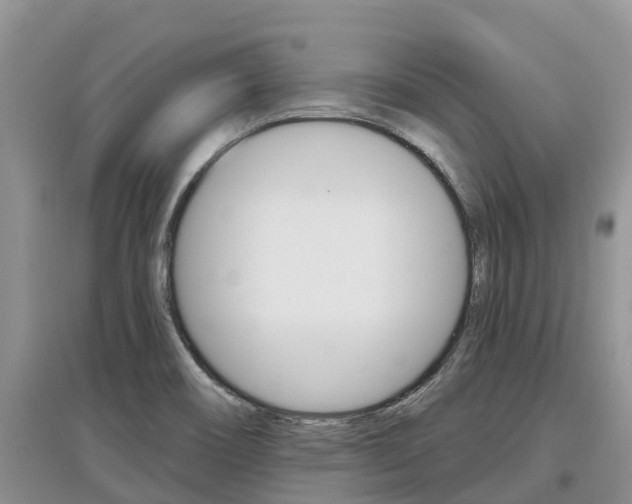 X0000097911466200803141018
