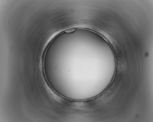 X0000097911468200803141018