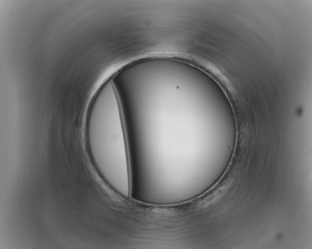 X0000097911469200803141018
