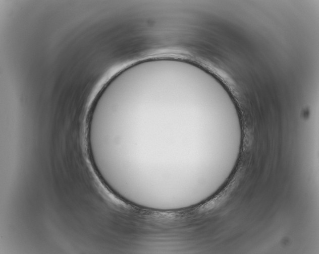X0000097911470200803141018