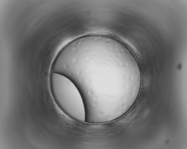 X0000097911471200803141018