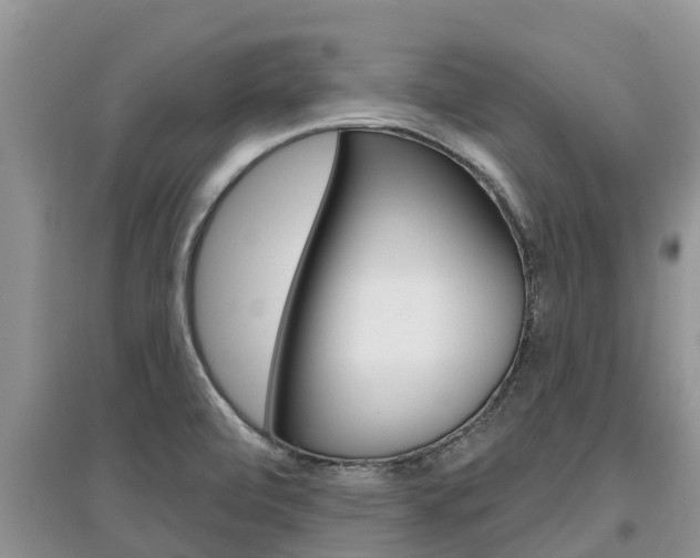 X0000097911472200803141018