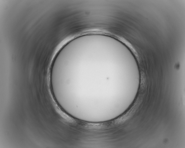 X0000097911474200803141018