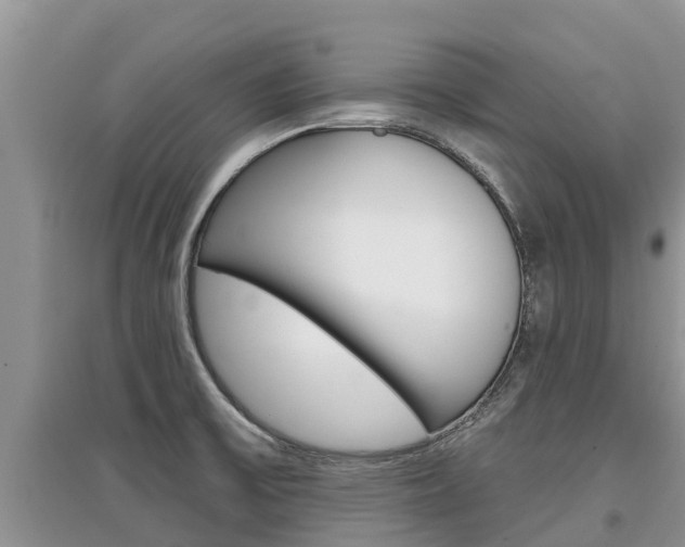 X0000097911475200803141018