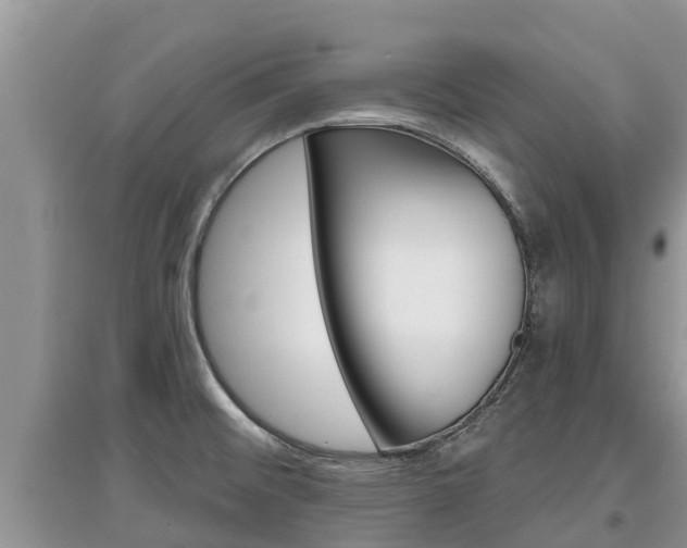 X0000097911476200803141018