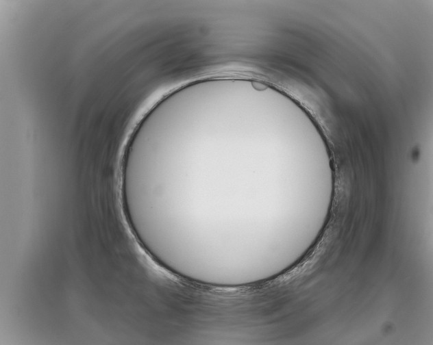 X0000097911478200803141018