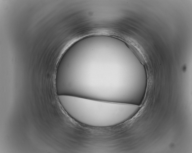 X0000097911481200803141018