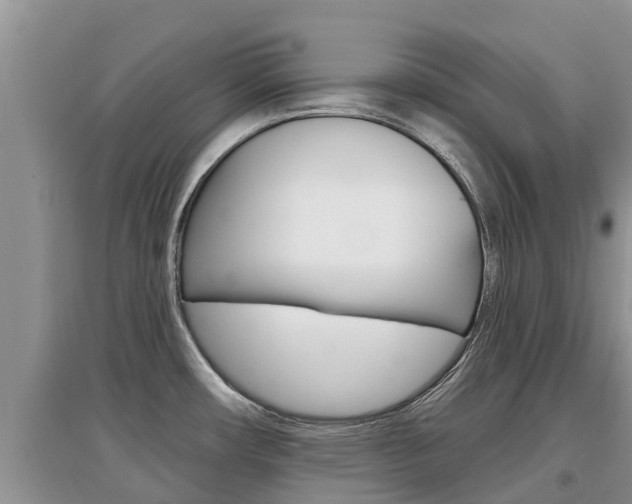 X0000097911482200803141018