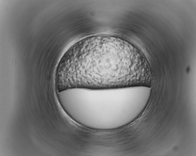 X0000097911483200803141018