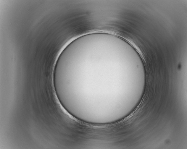 X0000097911484200803141018