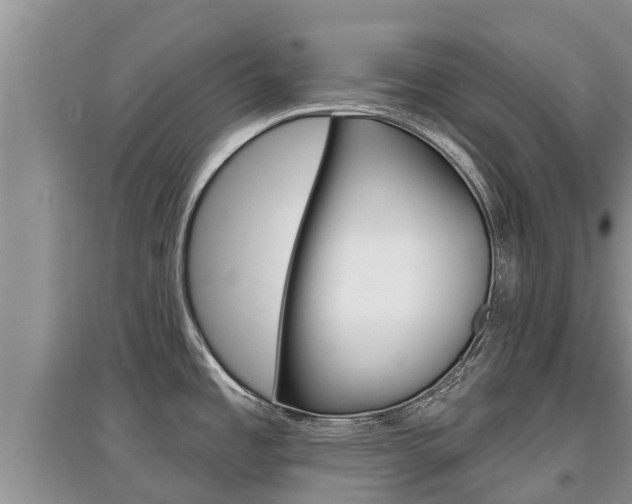 X0000097911485200803141018
