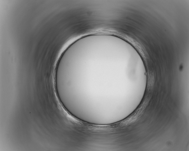 X0000097911486200803141018